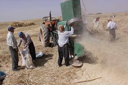 خرمن کوب