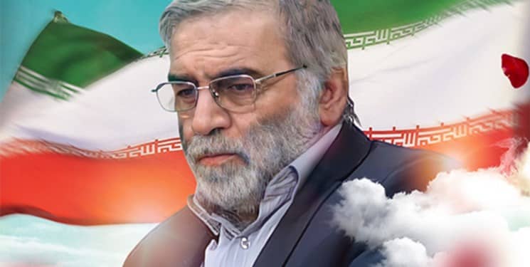 محسن فخری زاده