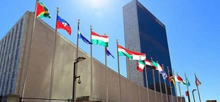 سازمان ملل متحد